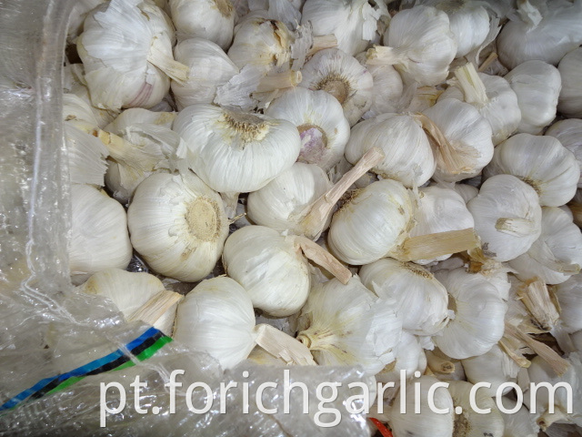 Best Quality Pure Garlic